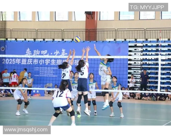 重庆排球队比赛经验分享：从训练到赛场的成长之路